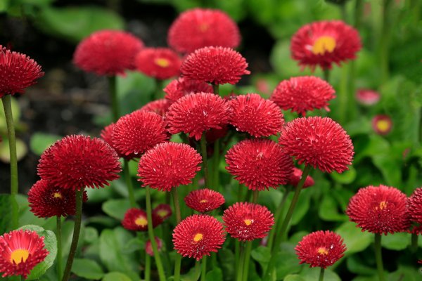 Key strategies for making the most of your spacious uk attic: vital tips for a smooth home transition